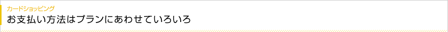 カードショッピング お支払い方法はプランにあわせていろいろ