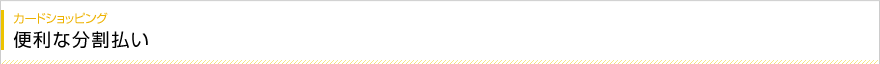 カードショッピング 便利な分割払い
