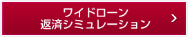 ワイドローンシミュレーション