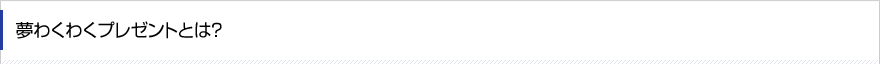 夢わくわくプレゼントとは？